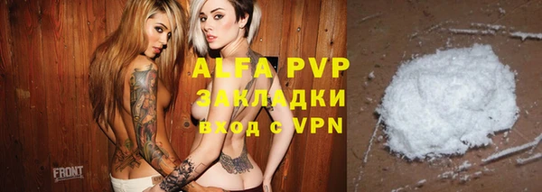 индика Баксан