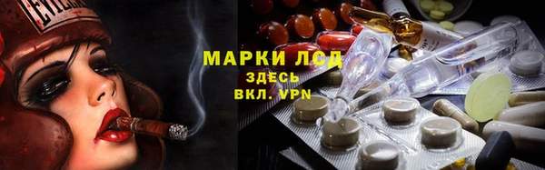 индика Баксан