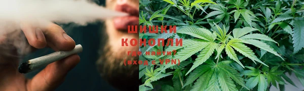 индика Баксан