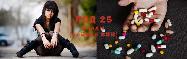 индика Баксан