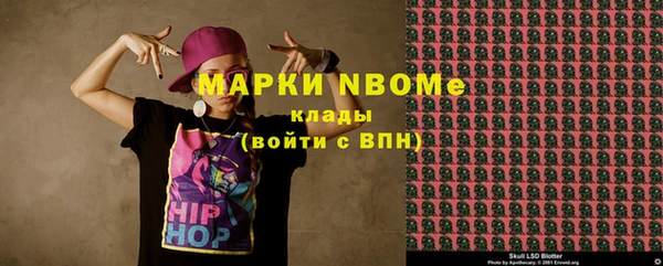 индика Баксан