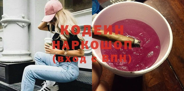 индика Баксан