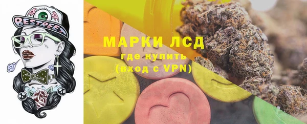 индика Баксан