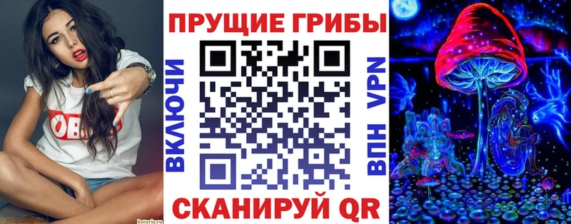 цены наркотик  Армавир  мориарти как зайти  Галлюциногенные грибы Cubensis 